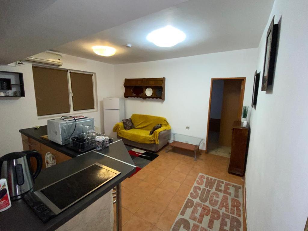 부쿠레슈티 Apartament Cochet 아파트 외부 사진